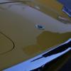 IMG_1235_lores
